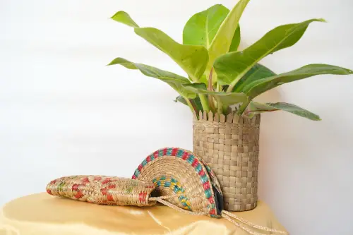 Handmade Organic Water Hyacinth Purse